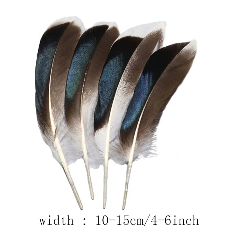 wholesale Natural ostrich Pheasant feathers for crafts DIY peacock feathers for jewelry making Home party decoration plumas