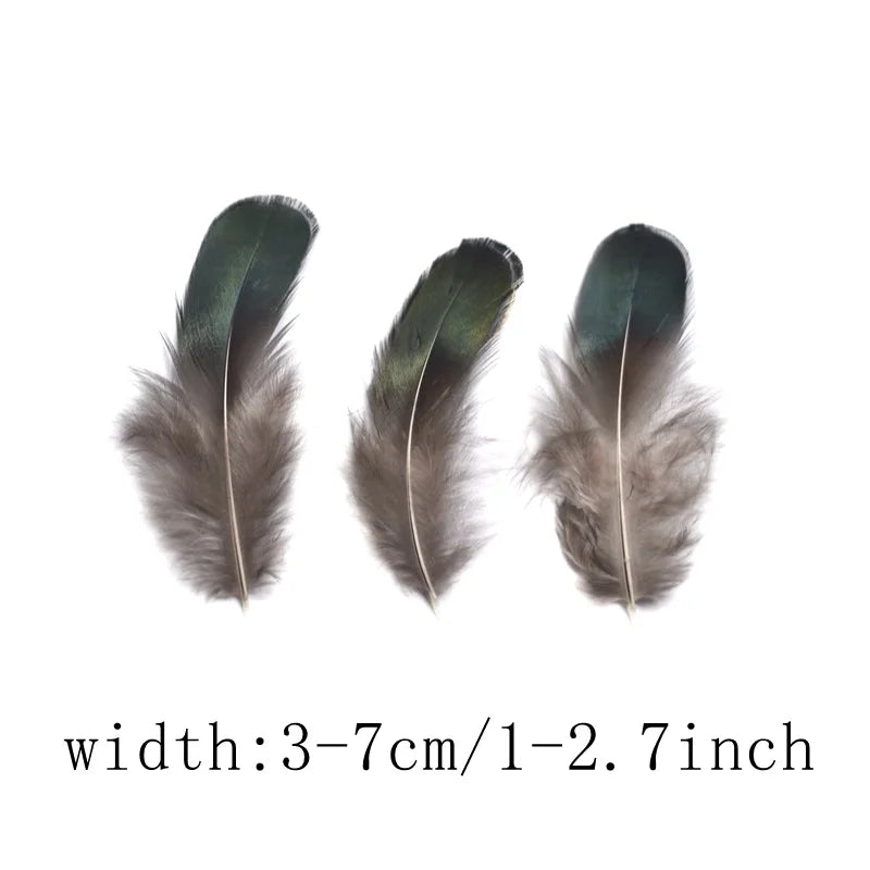 wholesale Natural ostrich Pheasant feathers for crafts DIY peacock feathers for jewelry making Home party decoration plumas
