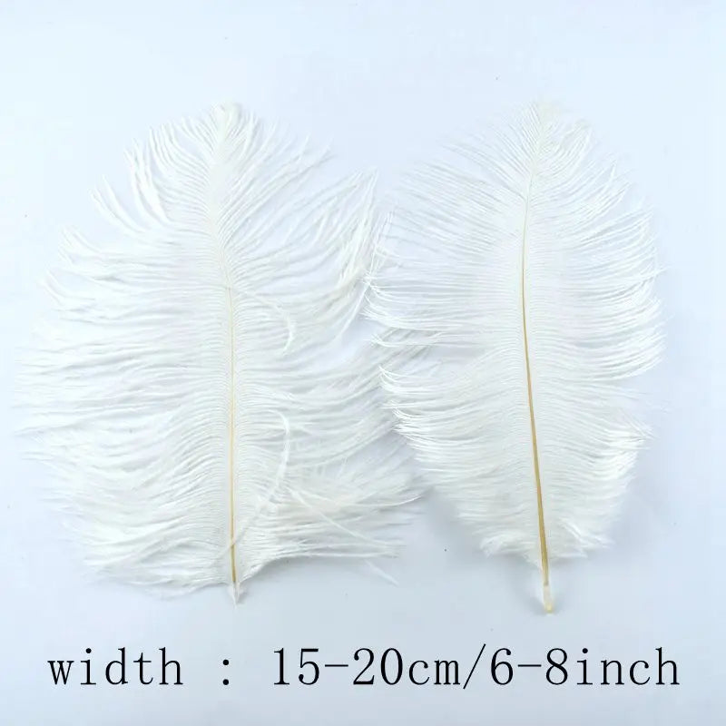 wholesale Natural ostrich Pheasant feathers for crafts DIY peacock feathers for jewelry making Home party decoration plumas