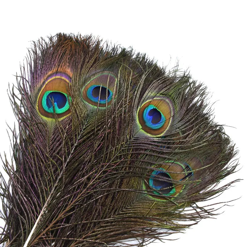 wholesale Natural ostrich Pheasant feathers for crafts DIY peacock feathers for jewelry making Home party decoration plumas