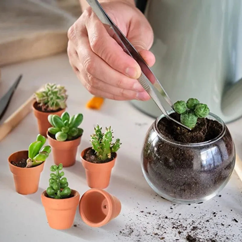 50 Pcs Tiny Terracotta Pots - 1.3 inch Small Mini Clay Pots with Drainage Holes Flower Nursery Terra Cotta Pots for in/outdoor