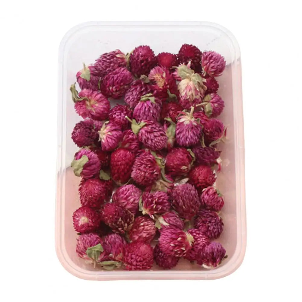 Dried Flowers Kit Real Natural Bulk DIY Handmade Everlasting Compressed Dried Flower Colorful Embossing Flowers Jewelry Supplies