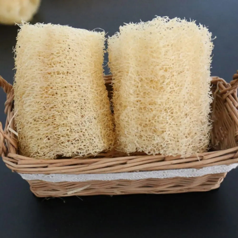 Natural Loofah Luffa Sponge Long Non-stick Dishwashing Artifact Ecological Planting Good Absorbency Body Shower Sponge