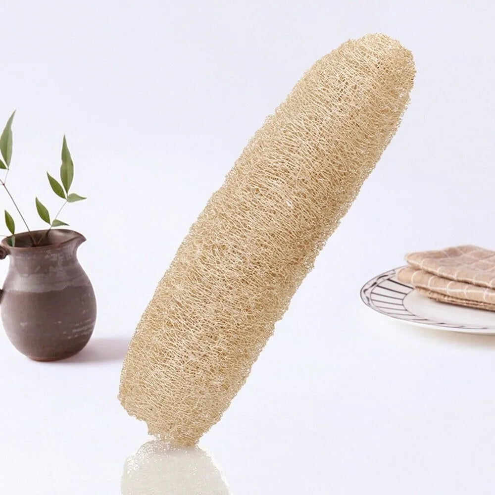 Natural Loofah Luffa Sponge Long Non-stick Dishwashing Artifact Ecological Planting Good Absorbency Body Shower Sponge