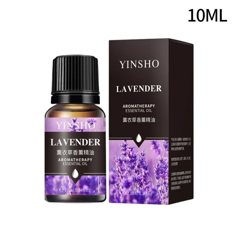 Fragrance Essential Oils Candles Burner Air Fresheners 10ML Natural Plant Aromatherapy Essential Oil for Humidifier Diffuser