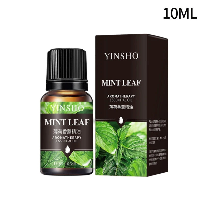 Fragrance Essential Oils Candles Burner Air Fresheners 10ML Natural Plant Aromatherapy Essential Oil for Humidifier Diffuser