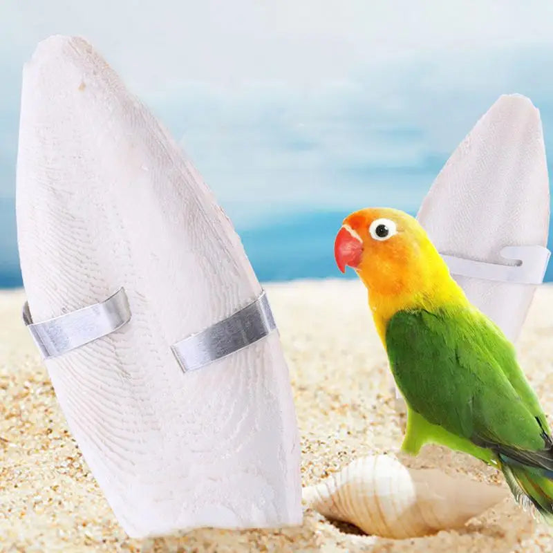 Cuttle Bone Natural Bird Cuttlebone Bird Sharp Beaks Cuttlefish Bone Cuddle Bone Toy Chew Toys For Reptiles Snails Turtles